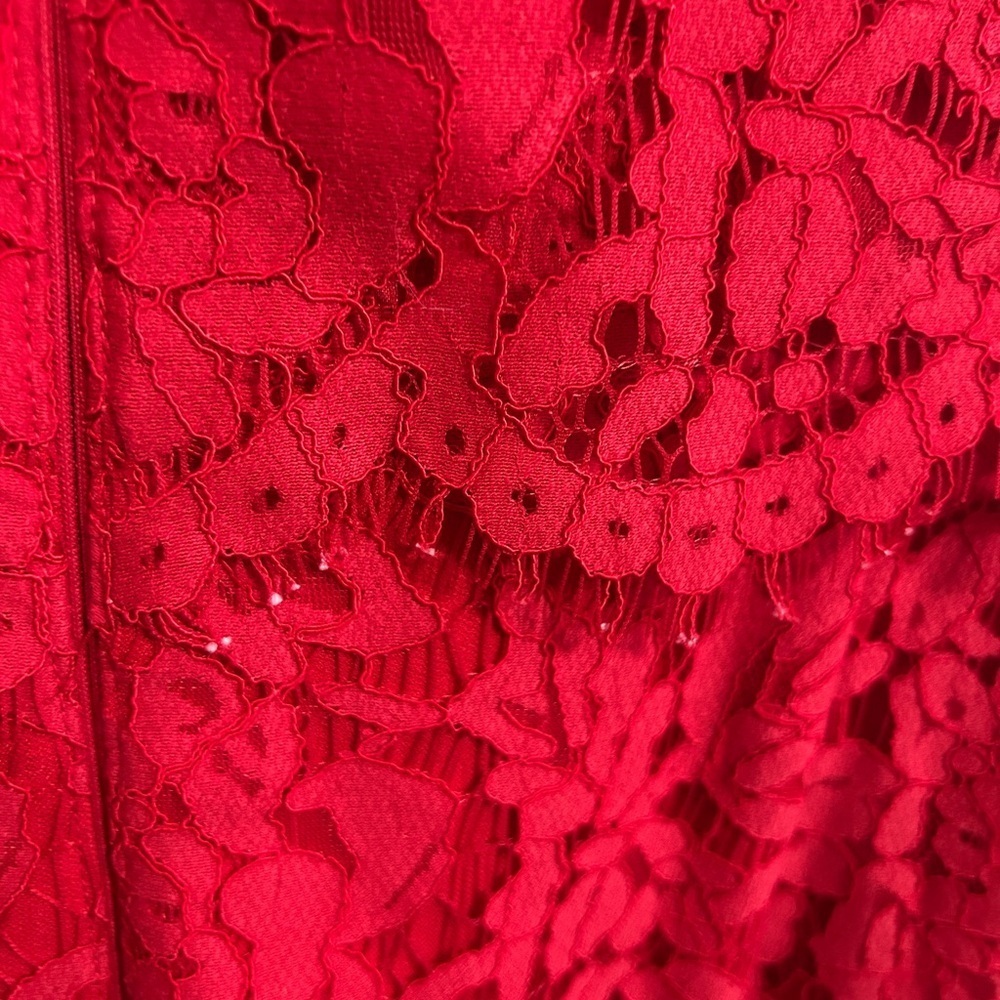 Good used condition Alex Marie Red Lace Dress size 16. Fully lined. Pretty! - Picture 6 of 11